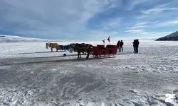 Çıldır Gölü’nde atlı kızak keyfi başlıyor