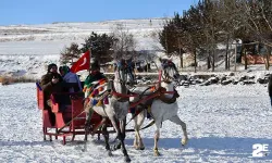 Çıldır Gölü'nde renkli görüntüler