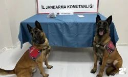 Ekiplerden uyuşturucu operasyonu