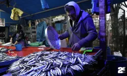 Hava şartları balık fiyatlarını etkiledi