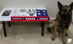 Jandarmadan uyuşturucu operasyonu