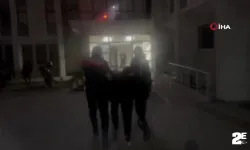 Kedilere eziyet eden ve örgüt propagandası yapan 'C31K' topluluğuna operasyon!