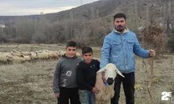 Köyüne dönüp koyun yetiştiricisi oldu