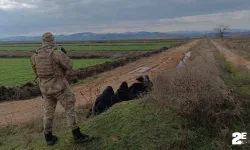 Sınırda hareketlilik: Yunanistan'a geçmeye çalışırken yakalandılar