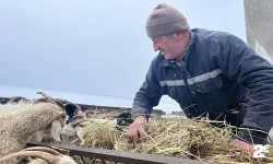 Yağan kar ve ayazla birlikte besicilerin işleri güçleşti