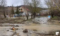 Bilecik'te Karasu Deresi taştı, birçok tarım arazisi ve iki ev su altında kaldı