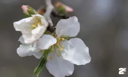 Cemre havaya düştü