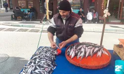 Denizden çıkan balık azaldı, fiyatlar arttı