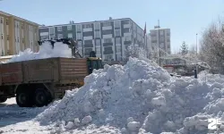 Şehrin bütün karları kamyonlarla taşınıyor