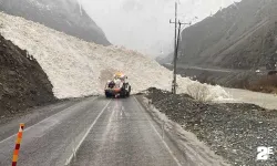 Hakkari-Şırnak yoluna çığ indi