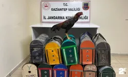 Horoz dövüştüren şahıslar jandarmadan kaçamadı