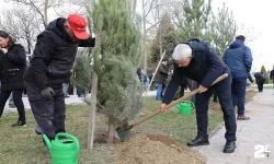 Kazada hayatını kaybeden anne ve kızı anısına ağaç dikildi