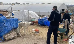 Köpeğin ısırdığı çocuk ağır yaralandı