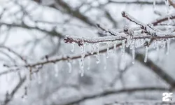 Meteoroloji’den don uyarısı