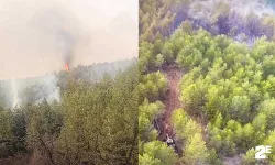 Çobanın söndürmediği ateş yangın çıkardı