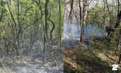 Ekiplerin erken müdahalesi yangını önledi