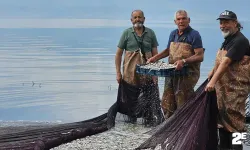 Gümüş balığının ihracat serüveni başladı