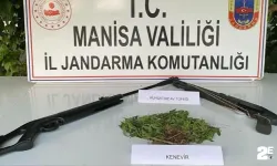 Jandarma komutanlığından kenevir yetiştirenlere operasyon