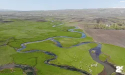 Kars’taki mendereslerde bahar güzelliği