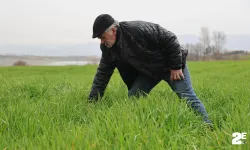 Yağışlar çiftçilerin yüzünü güldürdü