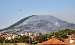 Yeniden orman olması çeyrek asırdan fazla sürecek