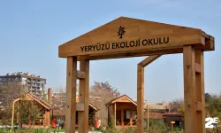 Yeryüzü Ekoloji Okulu mayıs ayı atölye çalışmaları başlıyor