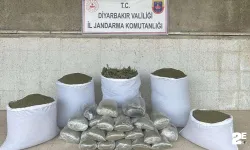 173 kilo esrar ele geçirildi