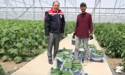 Genç girişimci ilk hasat sevincini yaşadı
