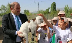 İlkokul öğrencileri çiftlik ziyaretinde bir araya geldi