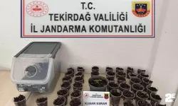 Jandarmadan uyuşturucu, silah ve tütün operasyonu