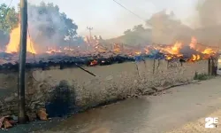 Korkutan yangında telef oldu