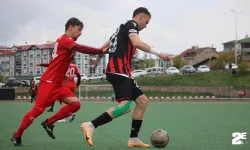 Misafirliği sevmedik
