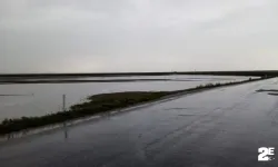 Şiddetli yağış arazileri göle çevirdi
