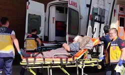 Temizlediği tüfek ateş alınca saçmalar başına isabet etti