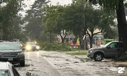 Texas’ı hortum vurdu: 4 kişi öldü, 800 binden fazla ev elektriksiz kaldı