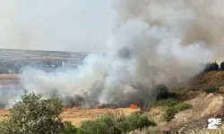 300 dönüm ekili buğday kül oldu