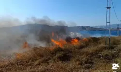 Arazide çıkan yangın korku saçtı