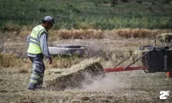 BAKAP’ta 2024 yılının ilk hasadı yapıldı