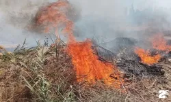 Çöplük alanda çıkan yangın söndürüldü