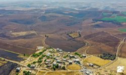 Diyarbakır ve Mardin Arasındaki Yangında Ölü Sayısı 15'e Yükseldi