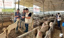 Kurban bayramı yaklaştıkça denetimler sıklaşıyor