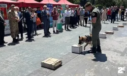 Narkotik köpeği Here hünerlerini sergiledi