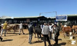 Sahte altınla dolandırılan yetiştiricinin imdadına polis yetişti