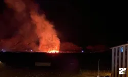Yangın her yeri sardı: Belediye Başkanı acil yardım çağrısında bulundu