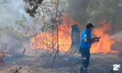 Yavru vatanda orman yangını