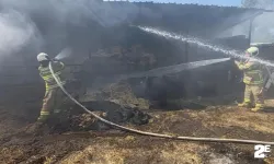 Ahır yangını: Büyükbaşlarda yanıklar oluştu!