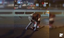 Avcılar’da ilginç kavga: Kazaya karışıp birbirlerini dövdüler