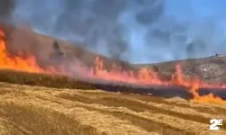Buğday ekili tarla alevlere teslim oldu!