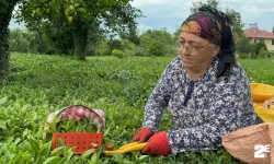 Çay fiyatlarına okkalı zam