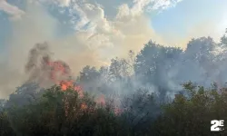 Dağlık alanda çıkan yangına havadan müdahale